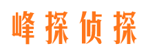 隆安市侦探公司